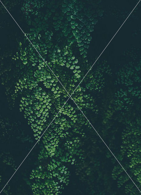 abstract