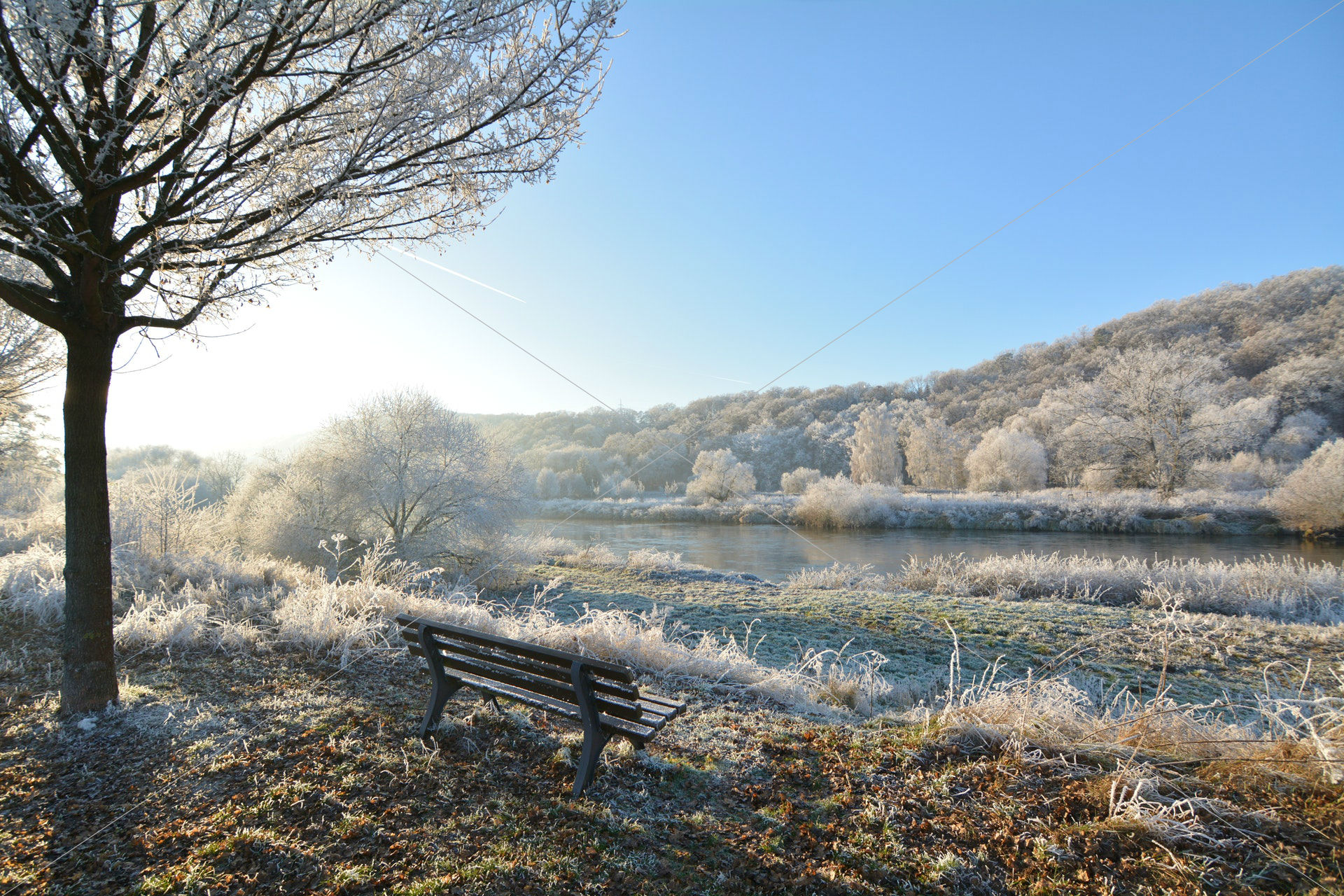 bench daylight fog frost