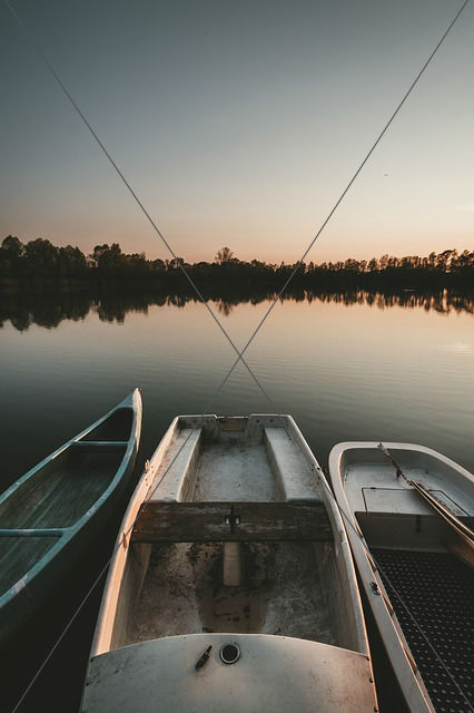 boats
