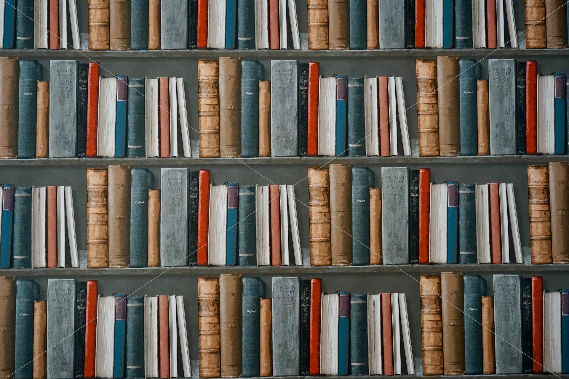 books on bookshelves