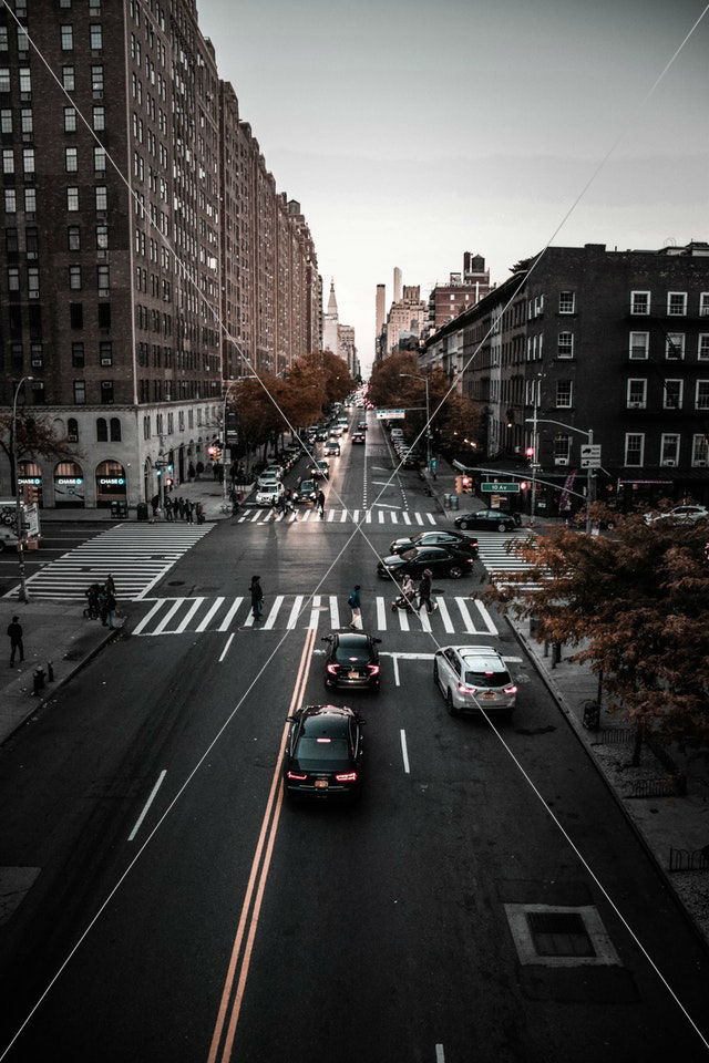 cars on the road
