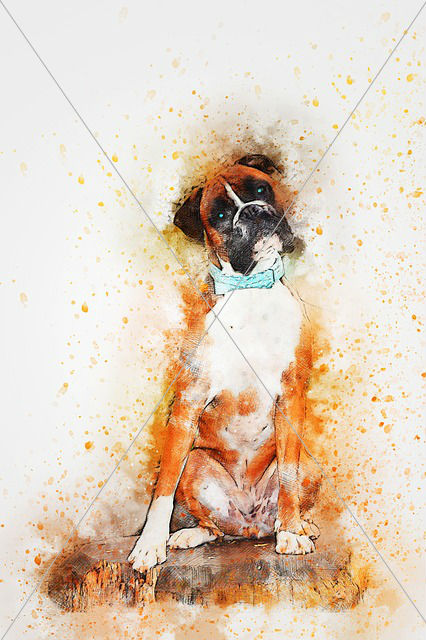 dog