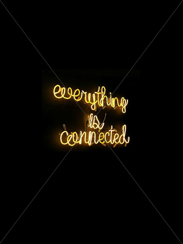 everything is connected neon light