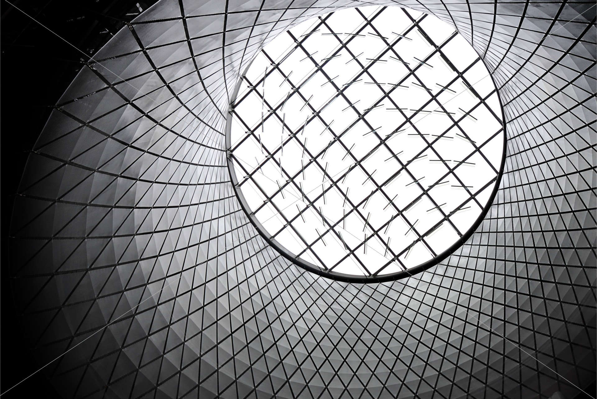 worm's eye of white and black inside basket